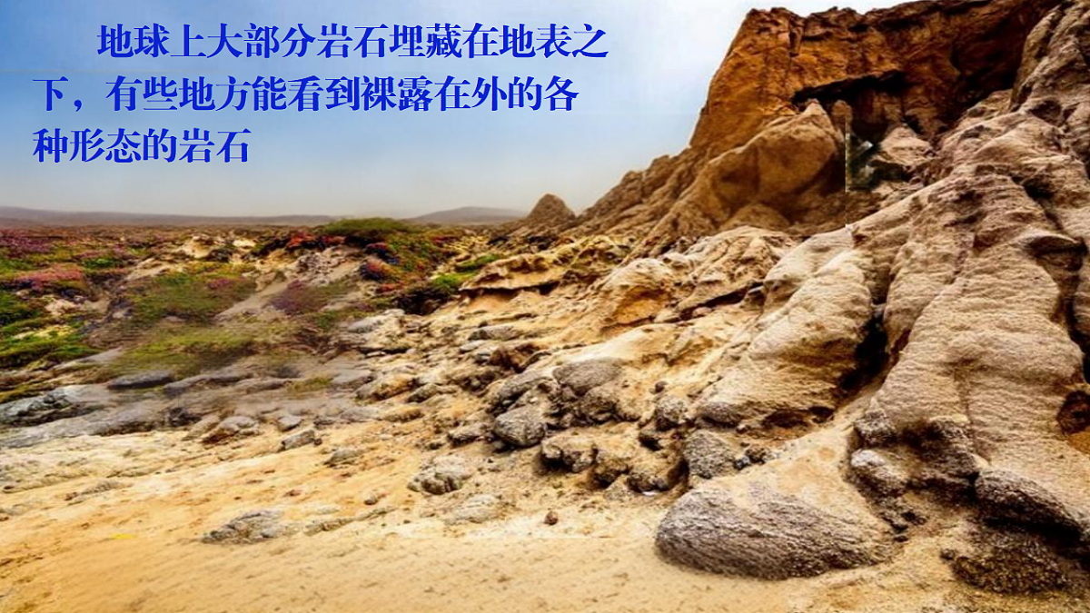 18546569第2页
