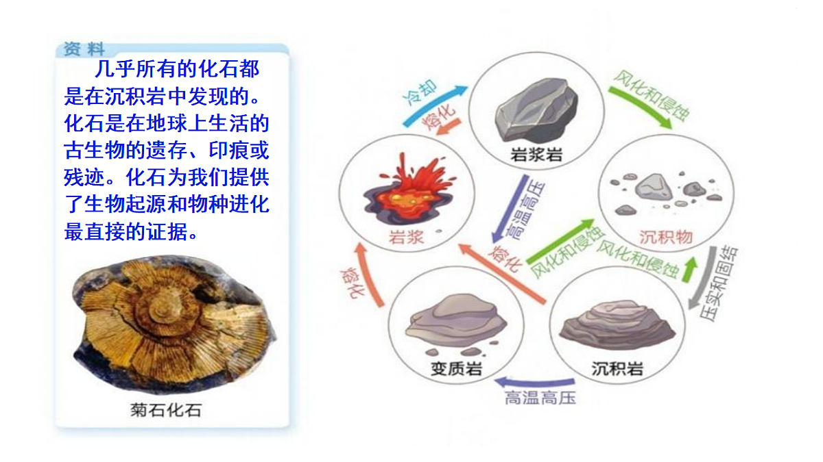 18546569第8页