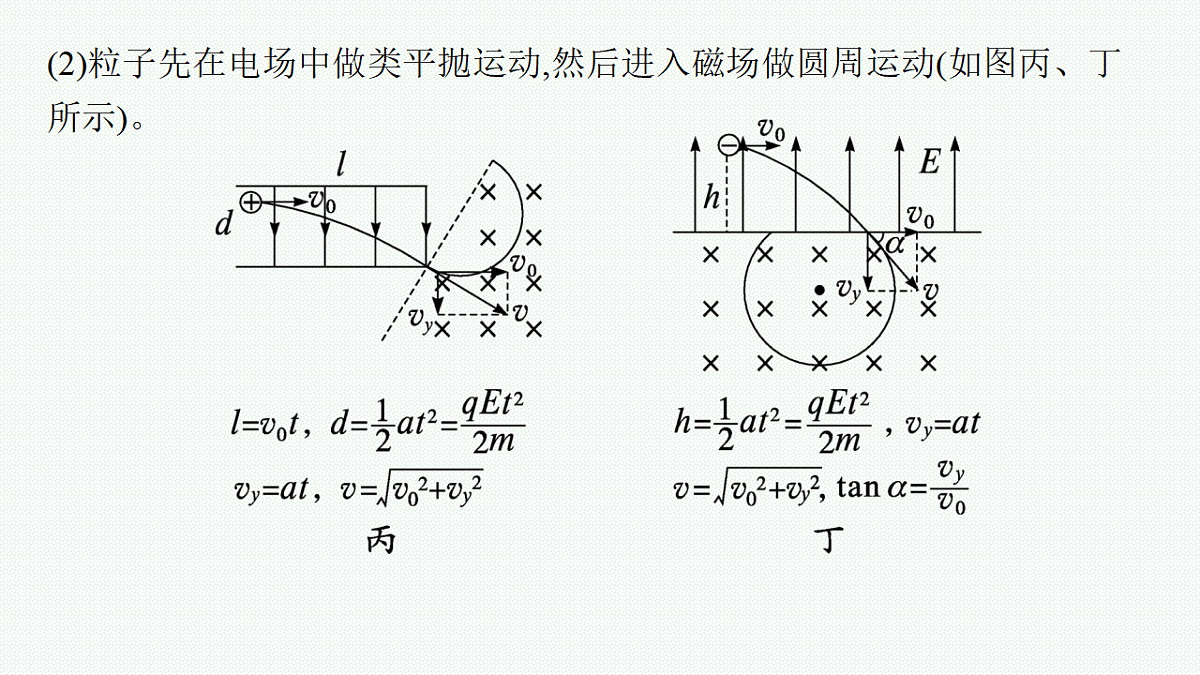 18546622第7页