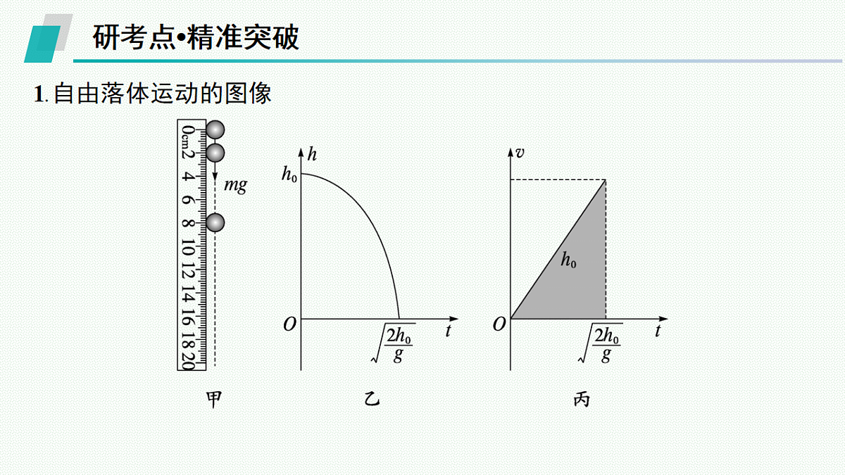 18546753第8页