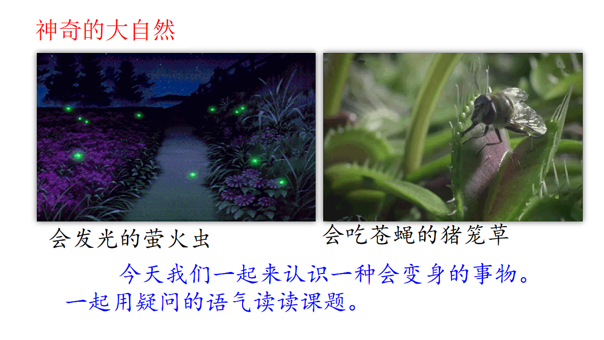18546762第2页