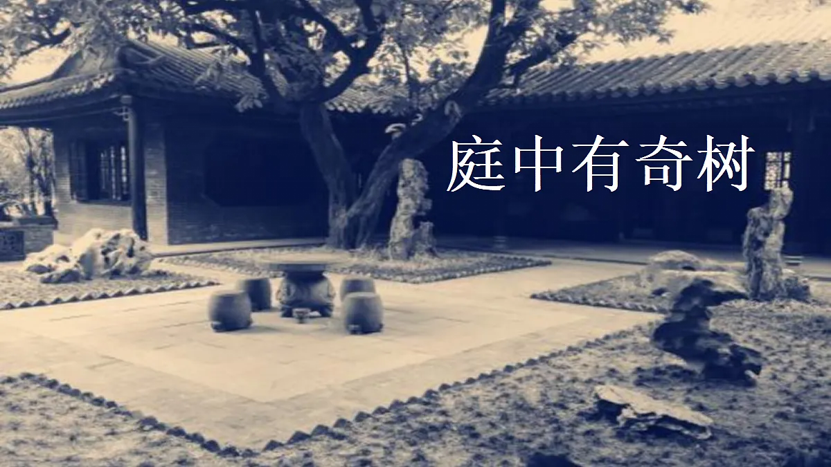 18548073第3页