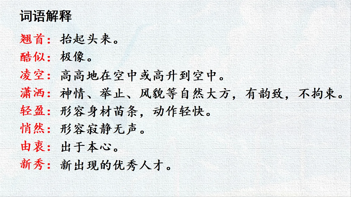 18548531第7页