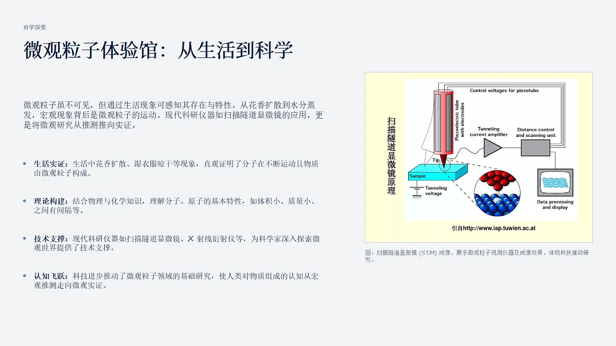 18549561第3页