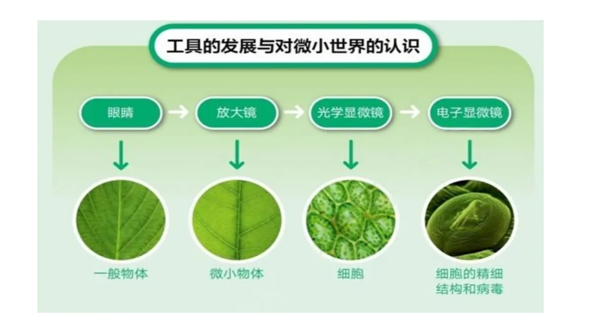 18551017第7页