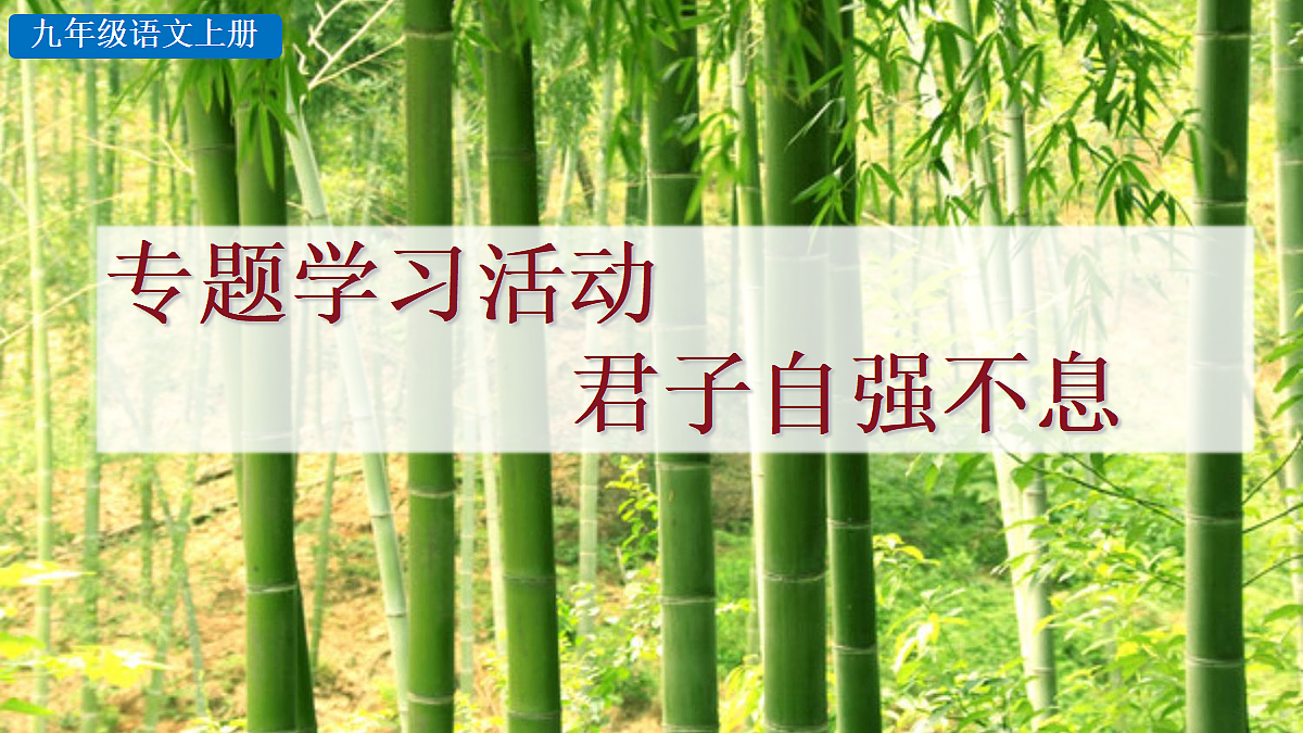18551438第1页