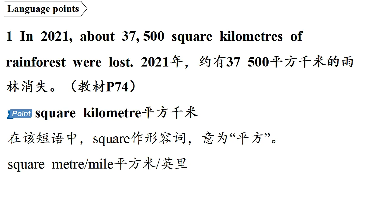 18551456第2页