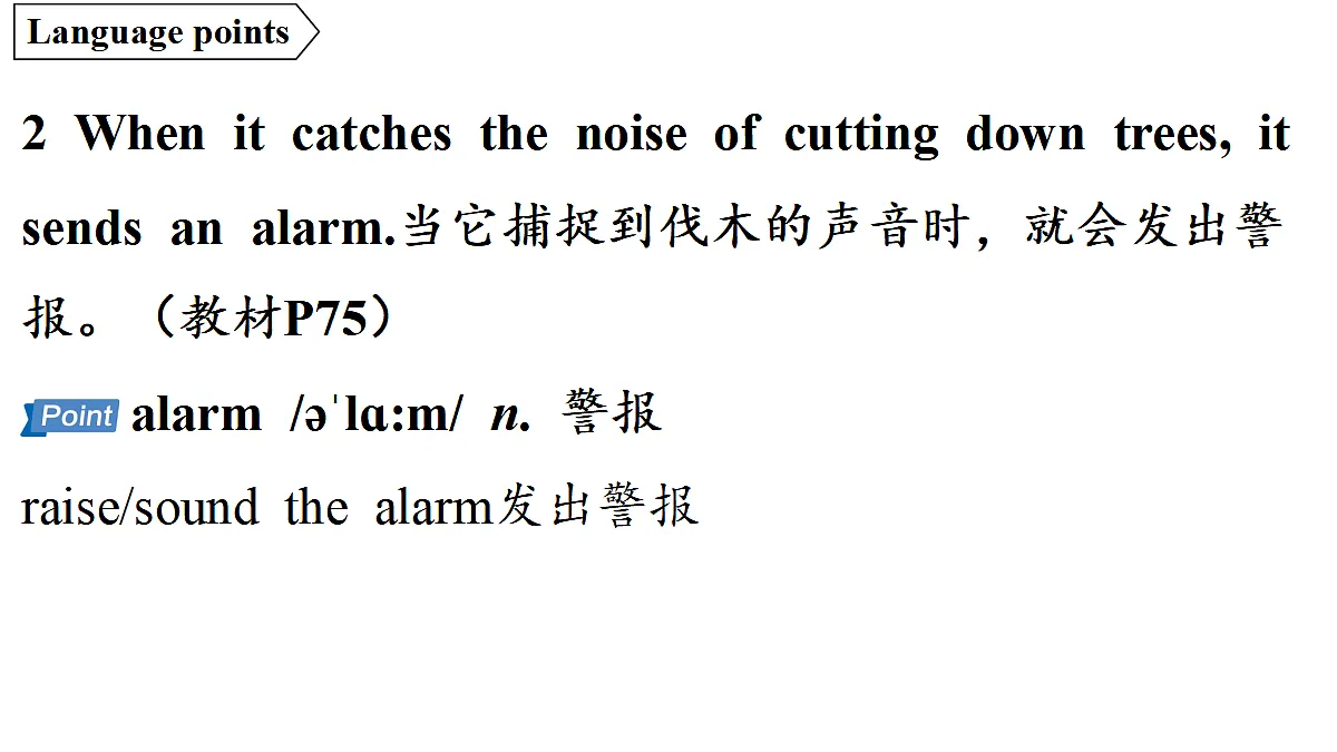 18551456第5页