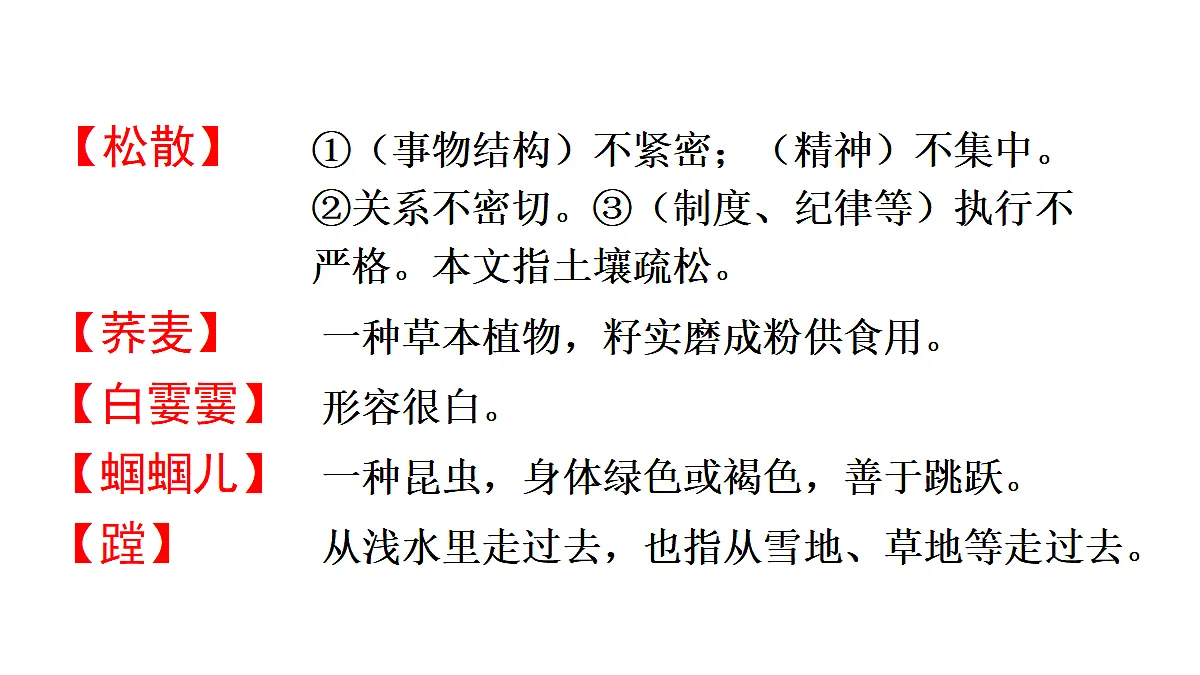 18551947第8页