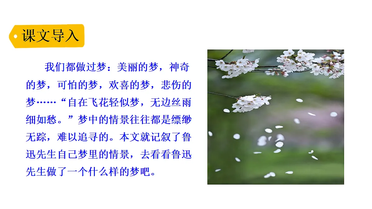 18551951第1页