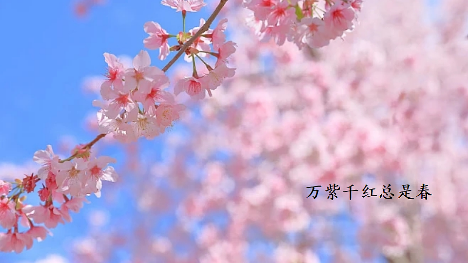 18552451第1页