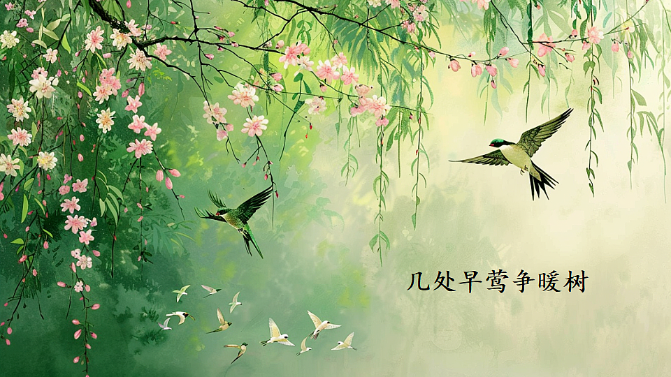 18552451第3页