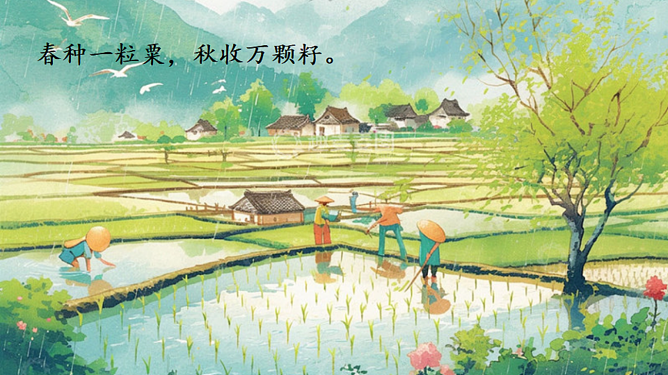 18552451第4页