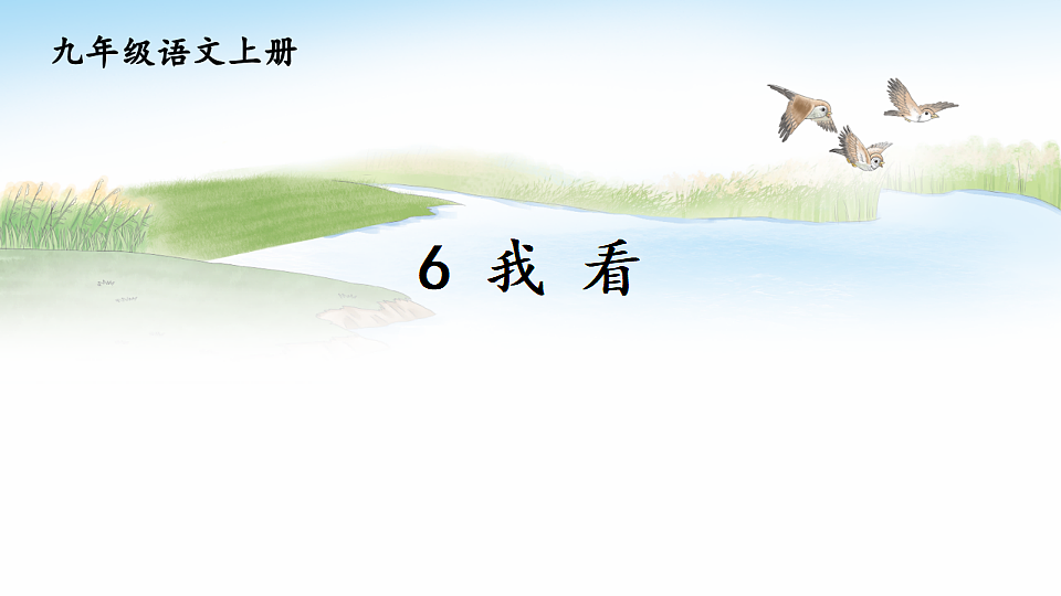 18552451第5页