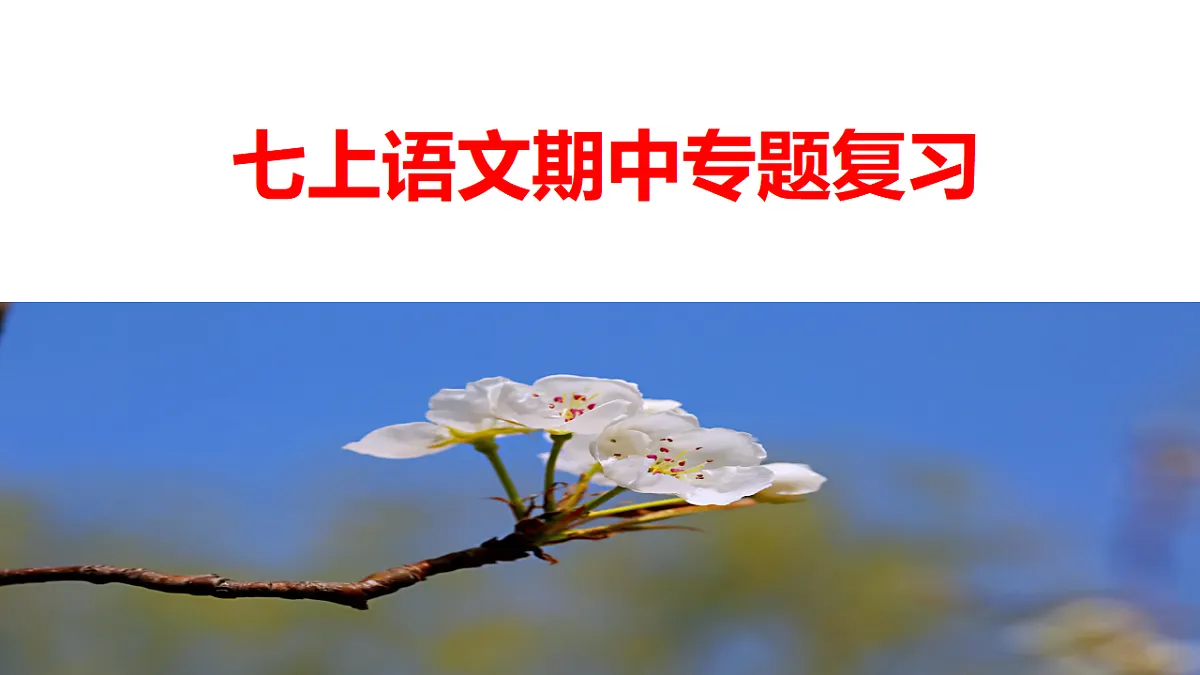 18552466第1页