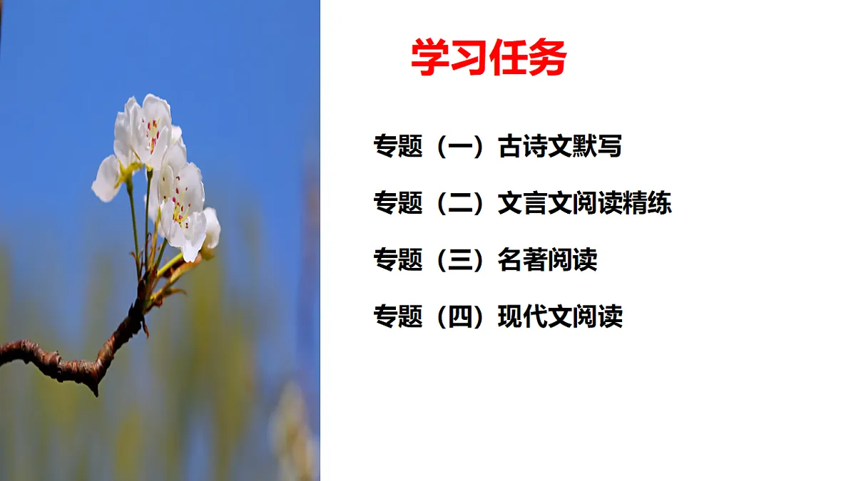 18552466第2页
