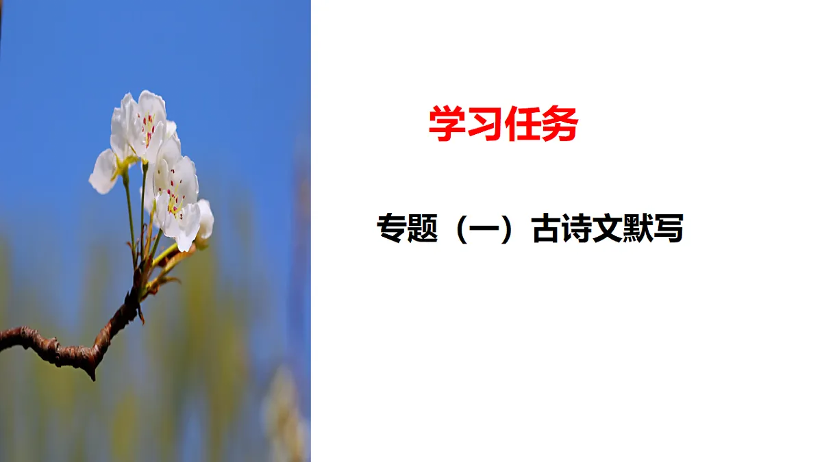 18552466第3页