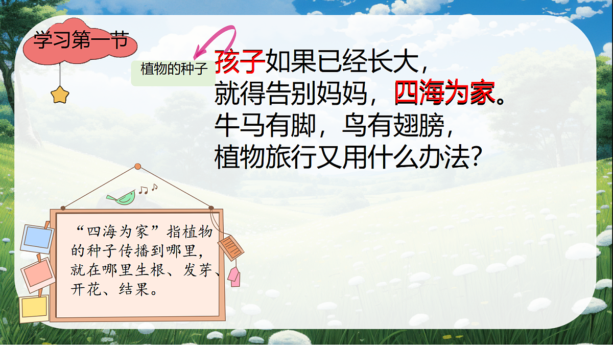 18554489第7页