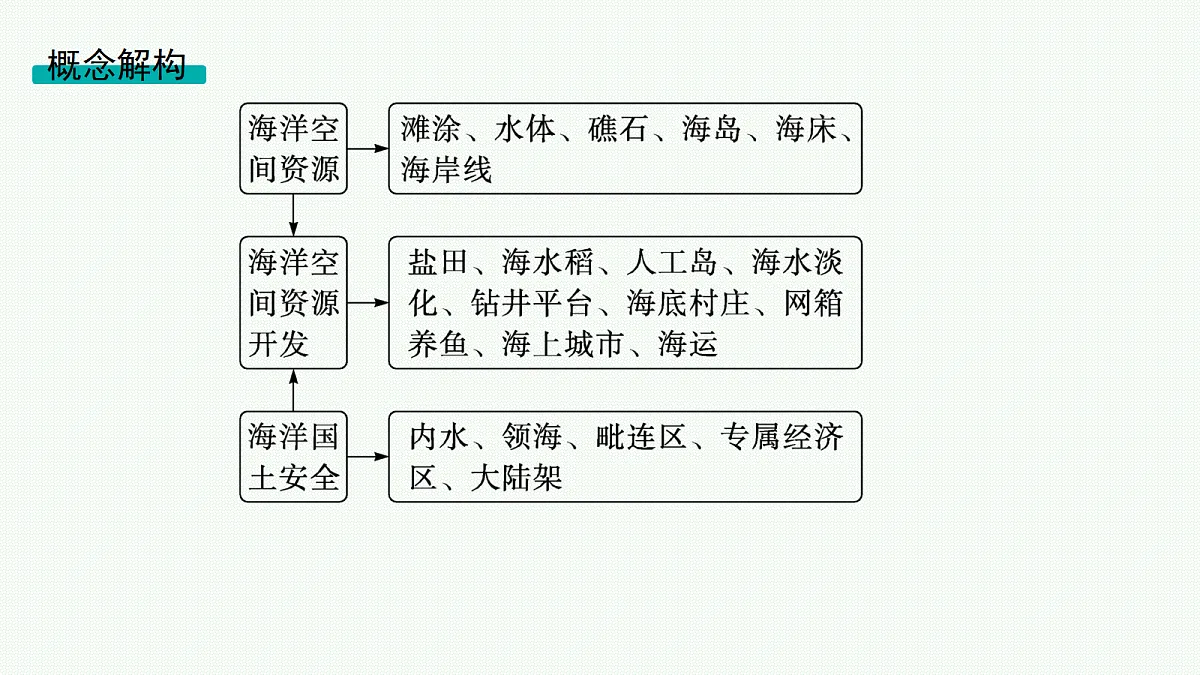 18554561第3页
