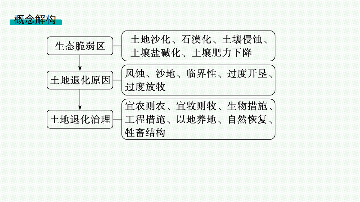 18554569第3页