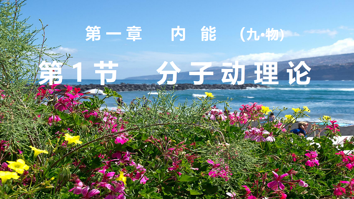 18554949第1页