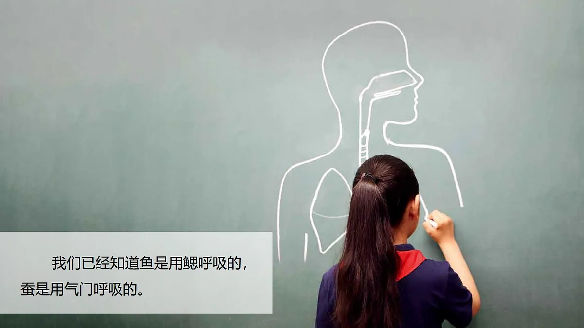 18555833第2页