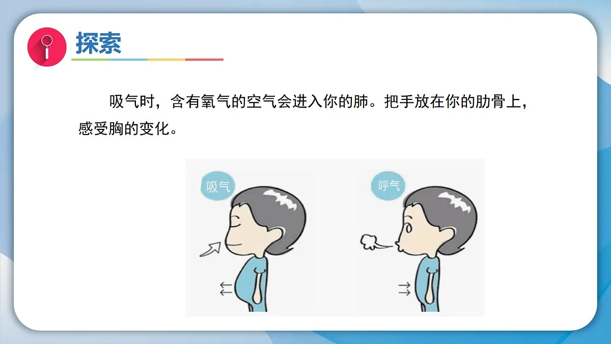 18555833第7页