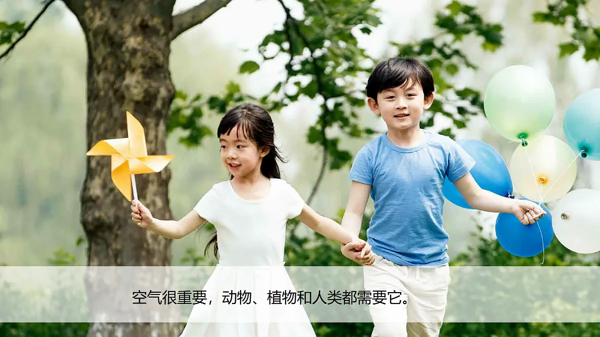 18555869第3页