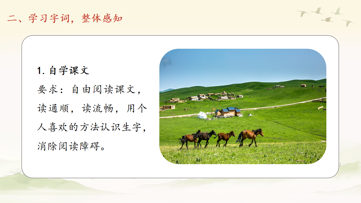 18556258第6页