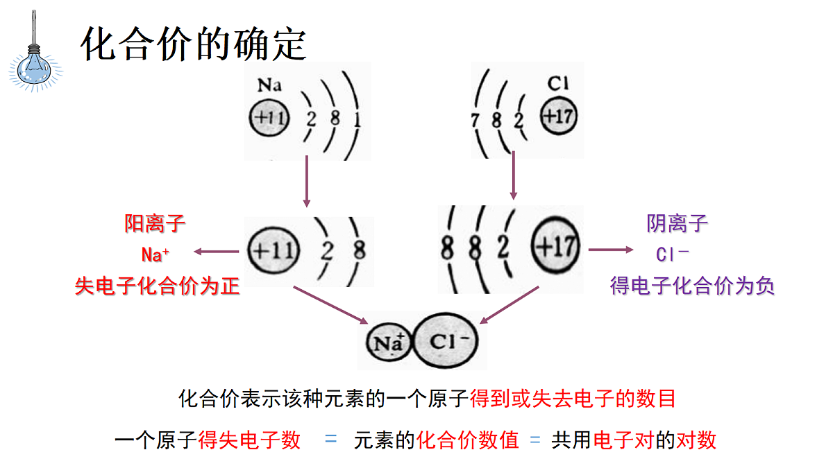 18556441第5页