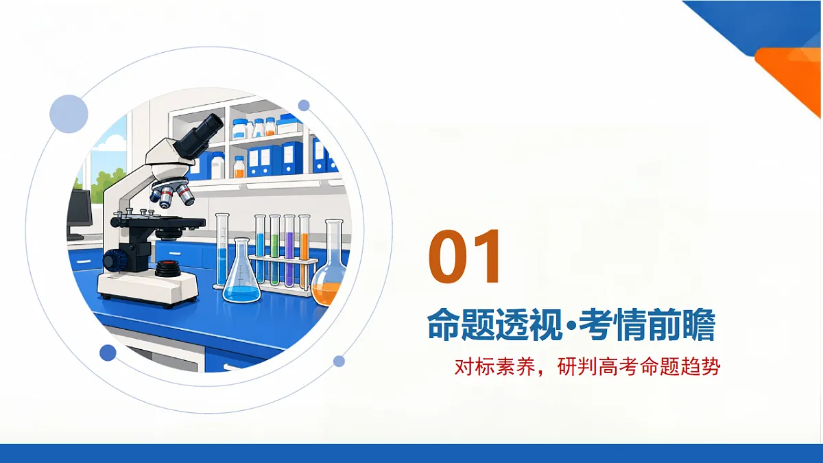 18556463第3页