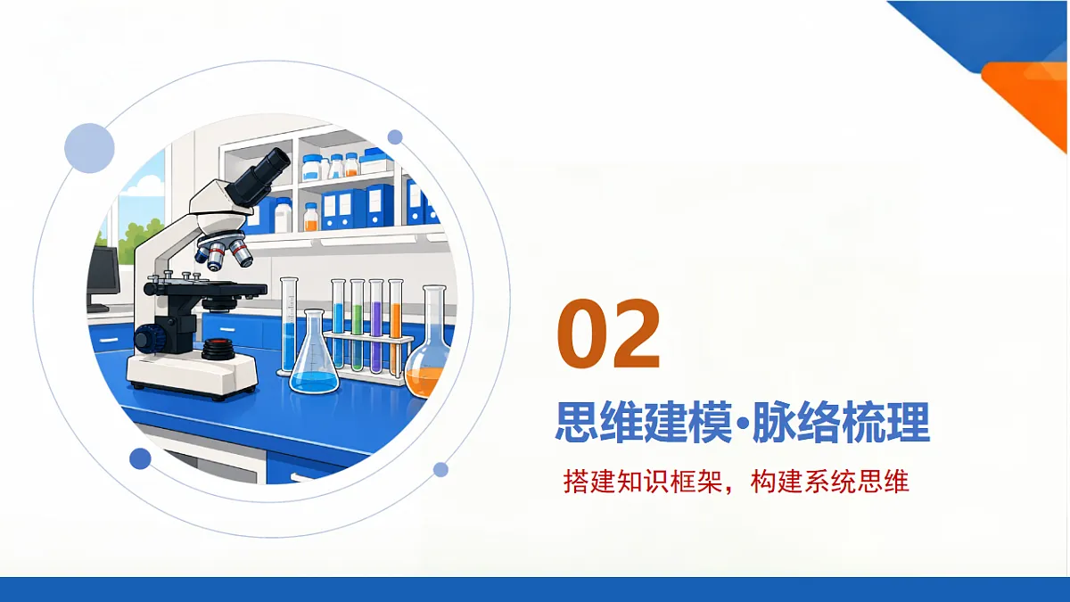 18556463第7页