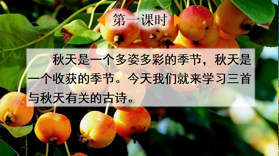 18556741第2页