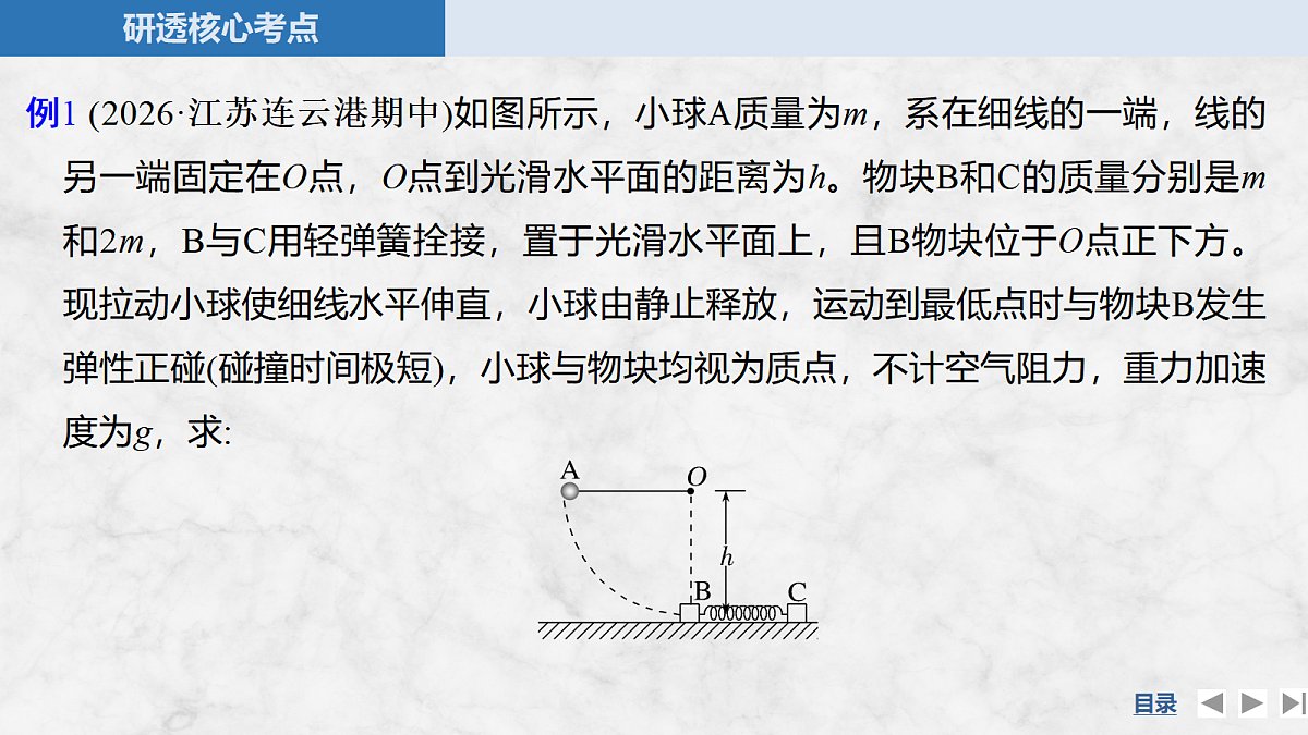 18556803第6页