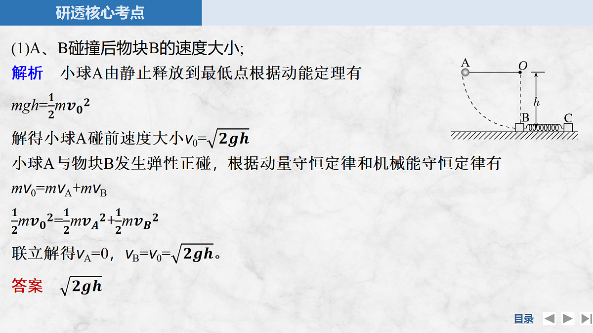 18556803第7页