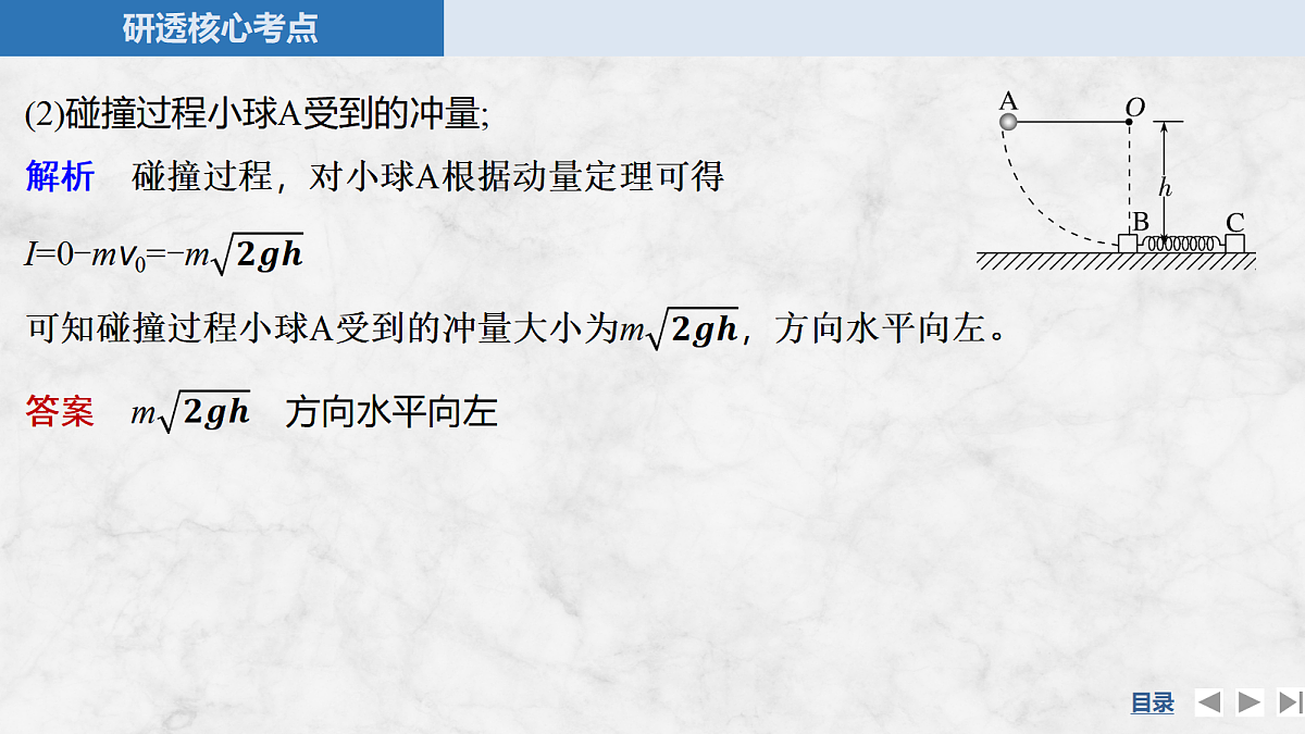 18556803第8页