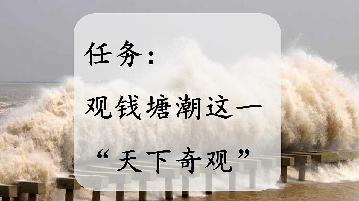 18560428第5页