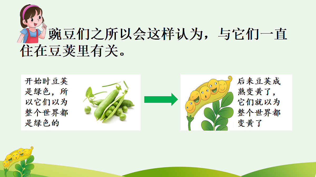 18560443第5页