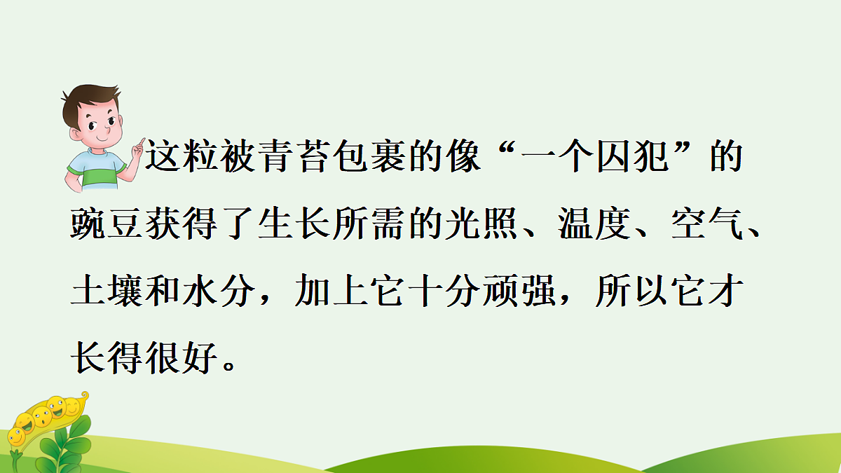 18560443第7页
