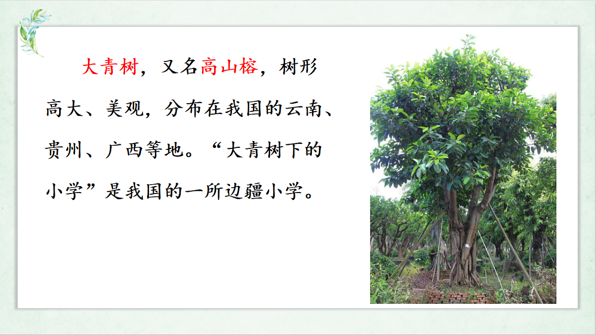 18562596第2页