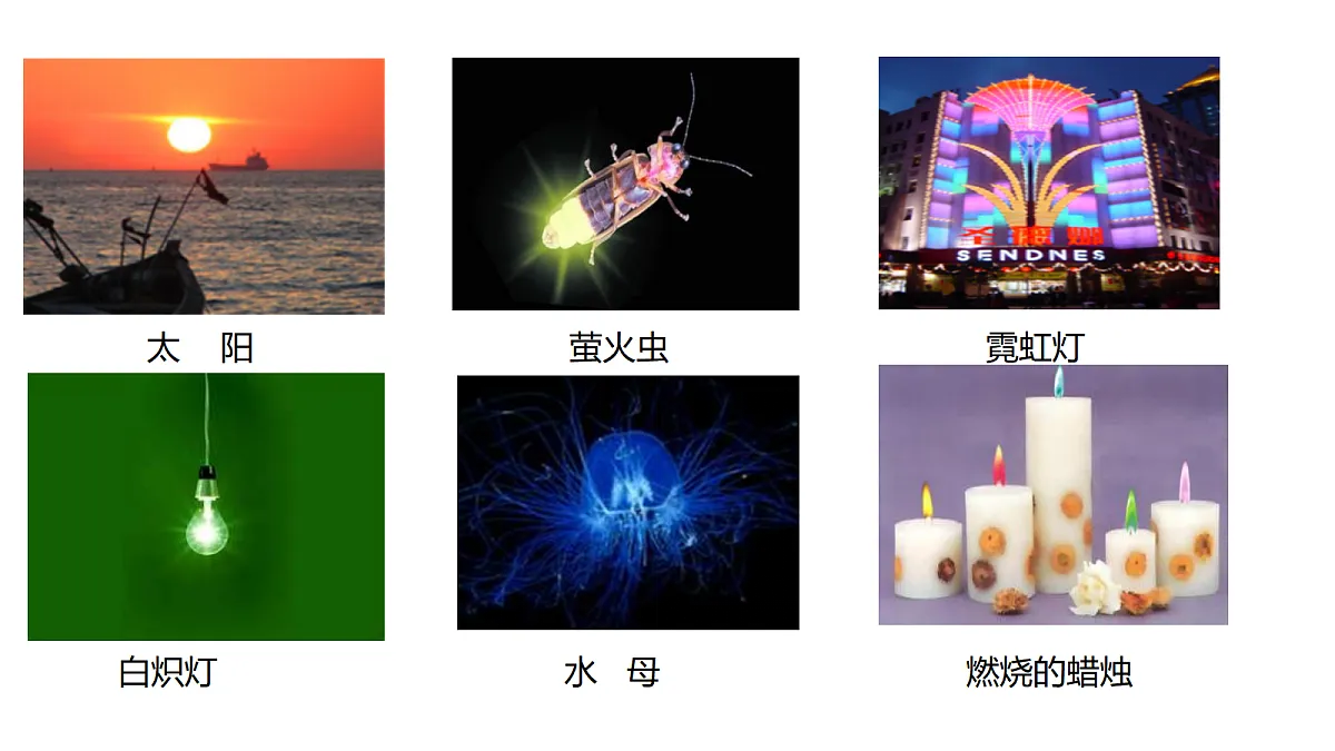 18562802第5页