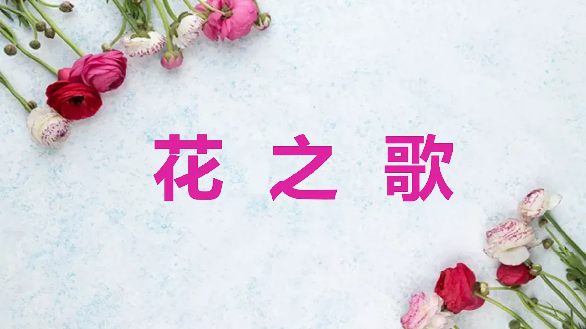 18564600第1页