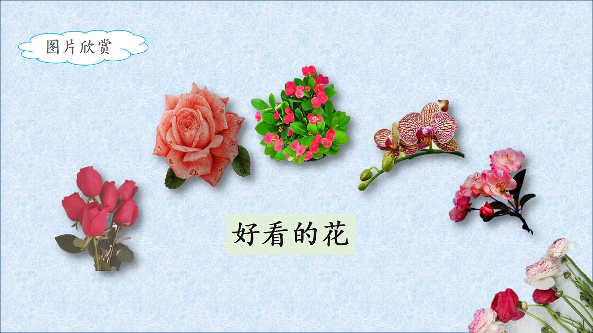 18564600第2页