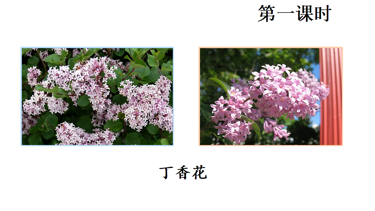 18565899第2页