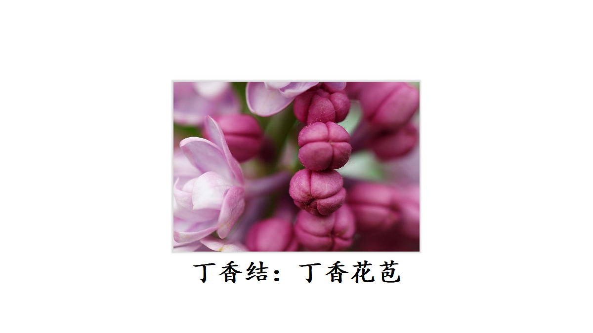 18565899第3页