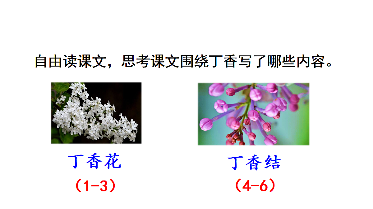 18565899第8页