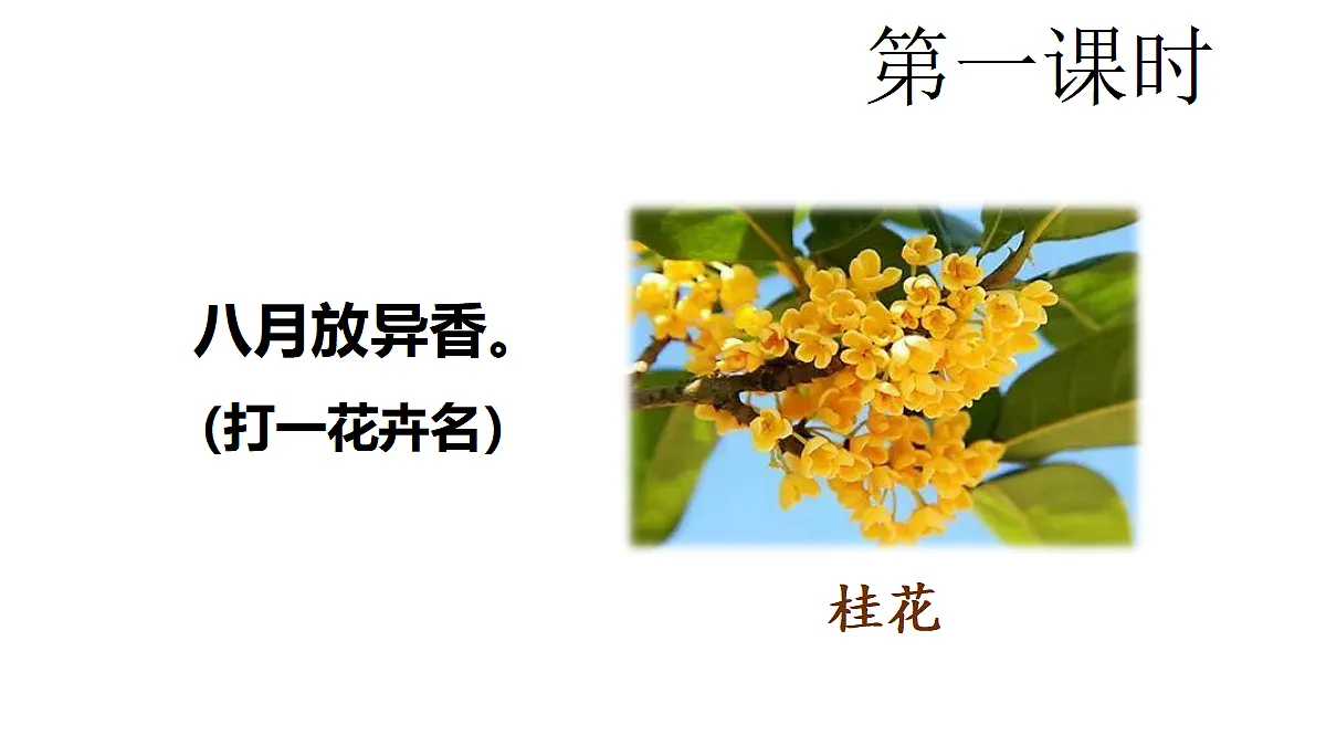 18565908第2页