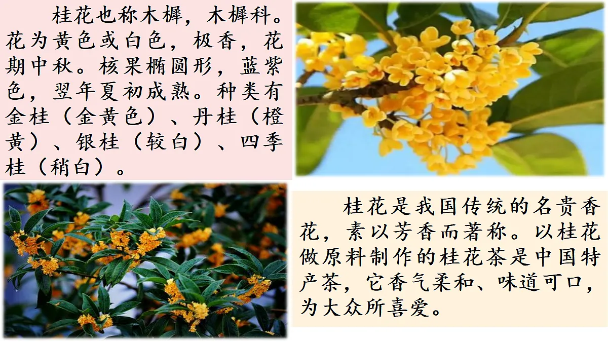 18565908第4页