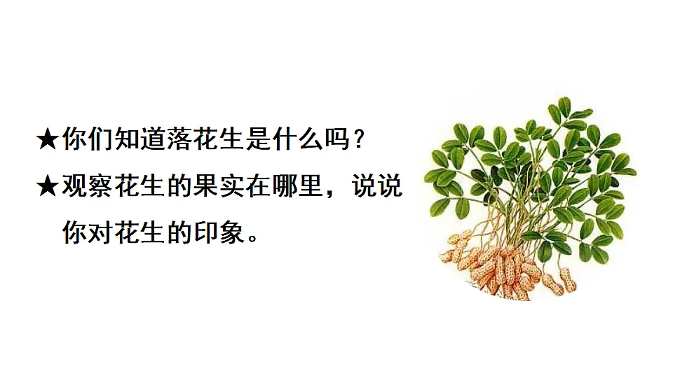 18565909第3页