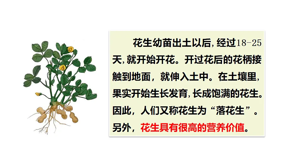 18565909第4页